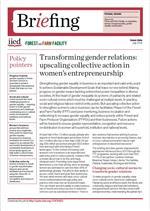 Transforming gender relations: upscaling collective action in women’s entrepreneurship