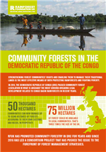 COMMUNITY FORESTS IN THE DEMOCRATIC REPUBLIC OF THE CONGO